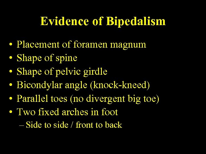 Evidence of Bipedalism • • • Placement of foramen magnum Shape of spine Shape