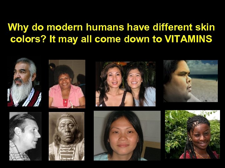 Why do modern humans have different skin colors? It may all come down to