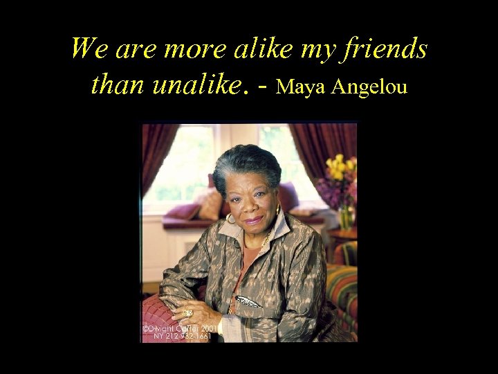 We are more alike my friends than unalike. - Maya Angelou 