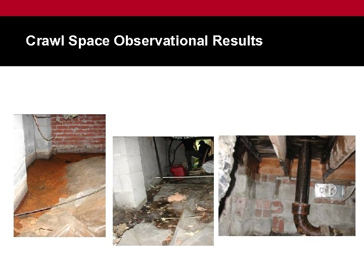 Crawl Space Observational Results 