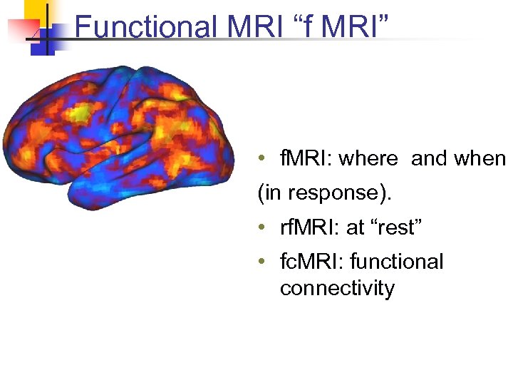 Functional MRI “f MRI” • f. MRI: where and when (in response). • rf.