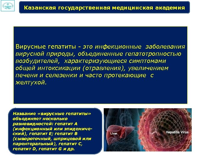 Казанская государственная медицинская академия Вирусные гепатиты это инфекционные заболевания вирусной природы, объединенные гепатотропностью возбудителей,
