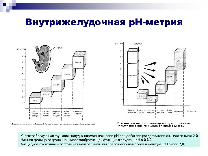 Метрия кухни