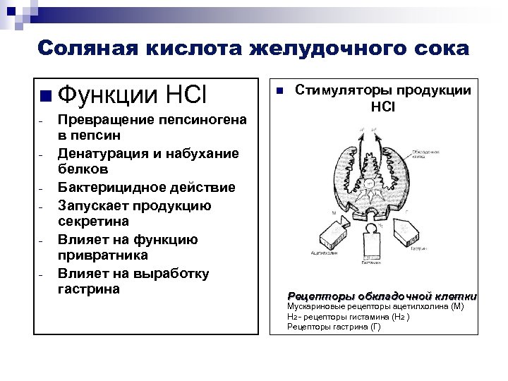 Схему активации пепсиногена