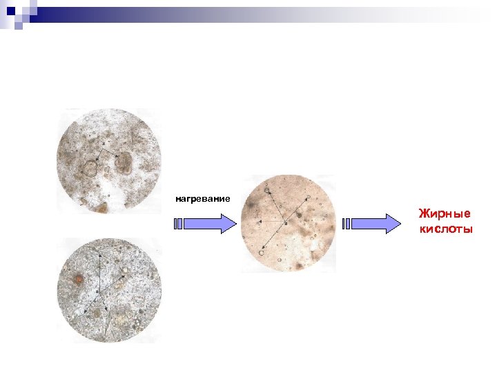 нагревание Жирные кислоты 