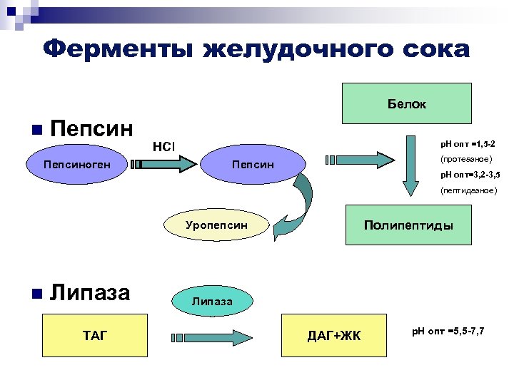 Схему активации пепсиногена