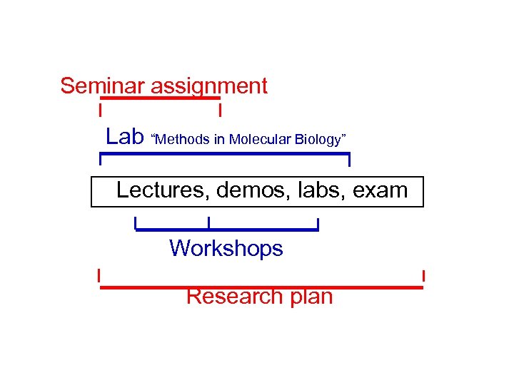 Seminar assignment Lab “Methods in Molecular Biology” Lectures, demos, labs, exam Workshops Research plan