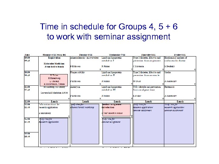 Time in schedule for Groups 4, 5 + 6 to work with seminar assignment