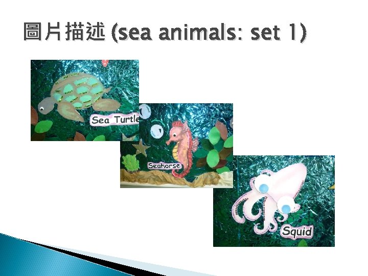圖片描述 (sea animals: set 1) 