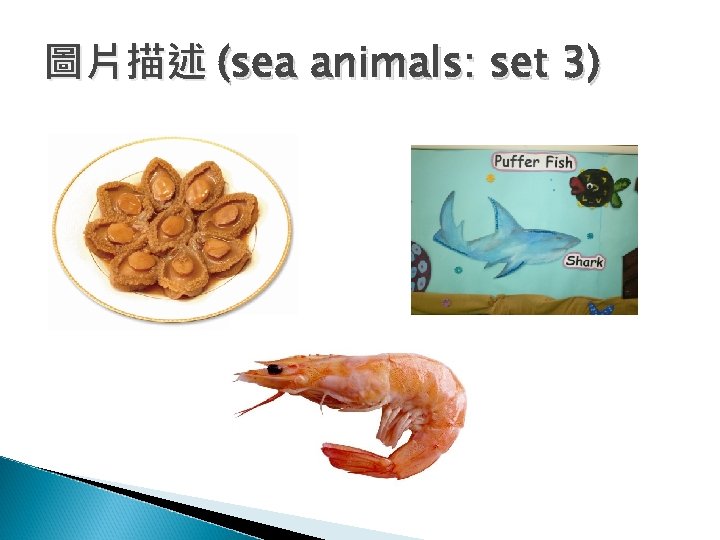 圖片描述 (sea animals: set 3) 
