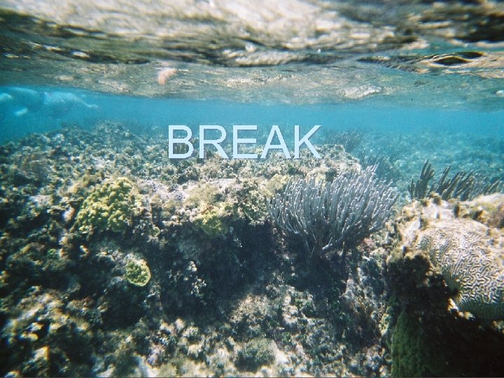 BREAK 