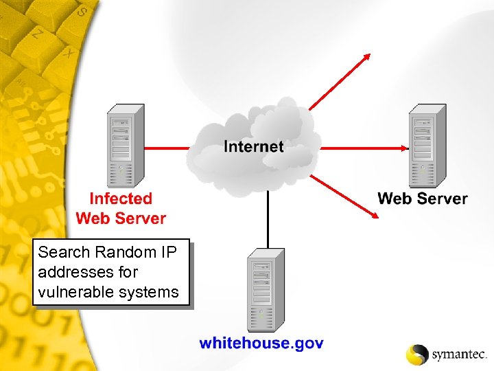 Search Random IP addresses for vulnerable systems 