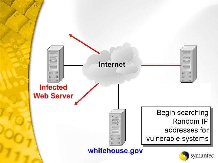 Begin searching Random IP addresses for vulnerable systems 