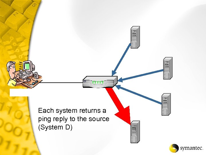 Each system returns a ping reply to the source (System D) 