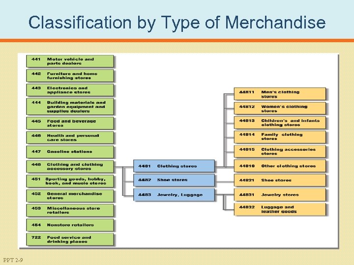 Classification by Type of Merchandise PPT 2 -9 