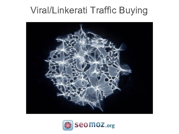Viral/Linkerati Traffic Buying 