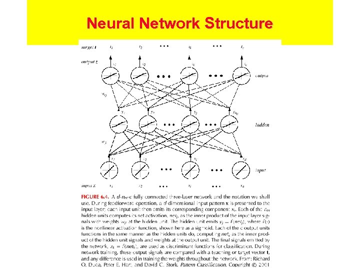Neural Network Structure 