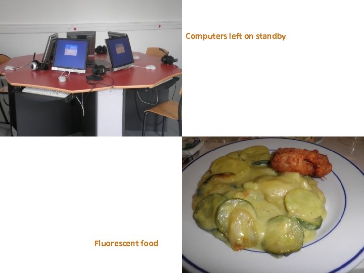 Computers left on standby Fluorescent food 