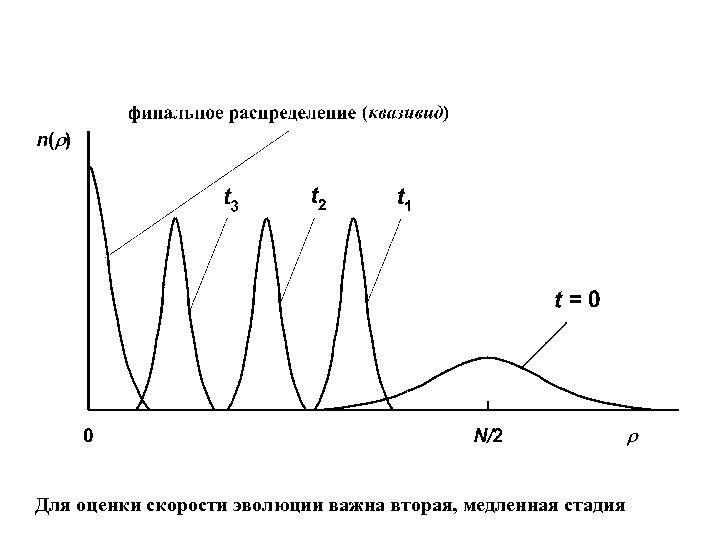 Для оценки скорости эволюции важна вторая, медленная стадия 