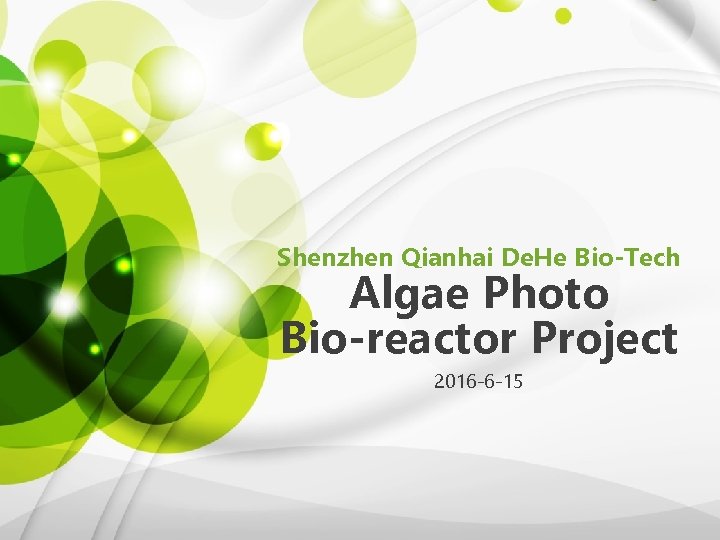 Shenzhen Qianhai De. He Bio-Tech Algae Photo Bio-reactor Project 2016 -6 -15 