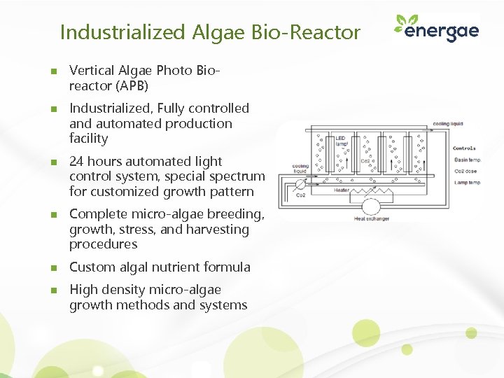 Industrialized Algae Bio-Reactor n n n Vertical Algae Photo Bioreactor (APB) Industrialized, Fully controlled