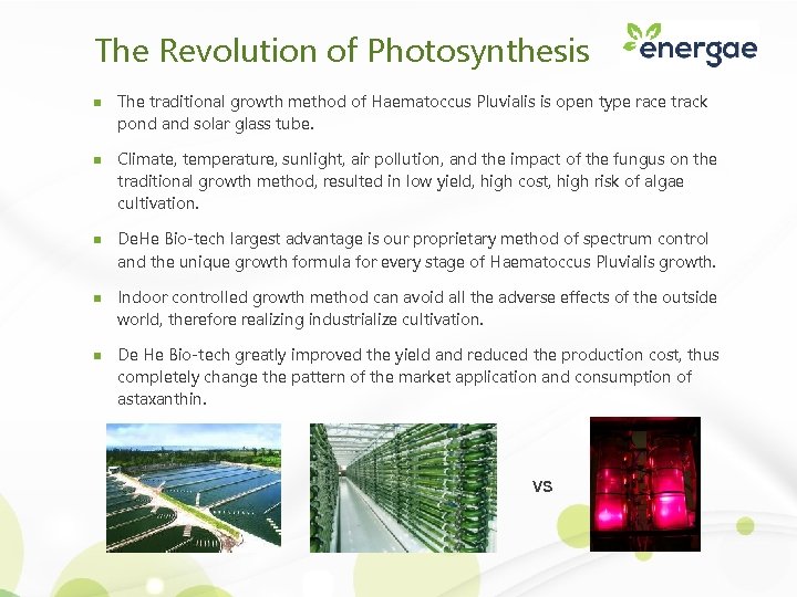 The Revolution of Photosynthesis n n n The traditional growth method of Haematoccus Pluvialis