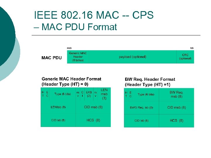 IEEE 802. 16 MAC -- CPS – MAC PDU Format 