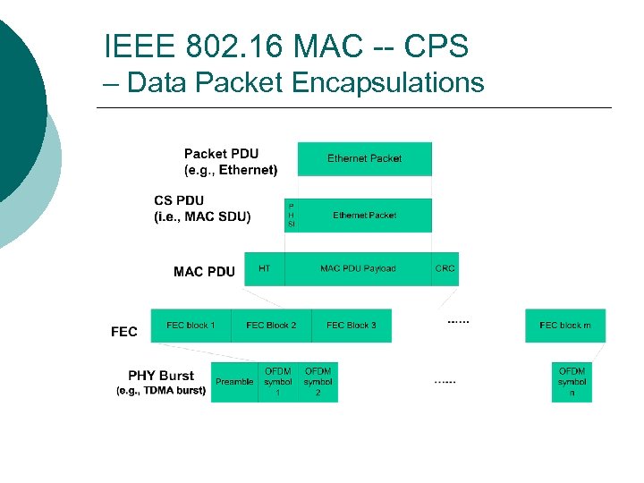 IEEE 802. 16 MAC -- CPS – Data Packet Encapsulations 