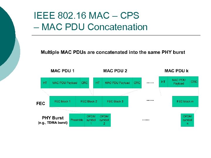 IEEE 802. 16 MAC – CPS – MAC PDU Concatenation 