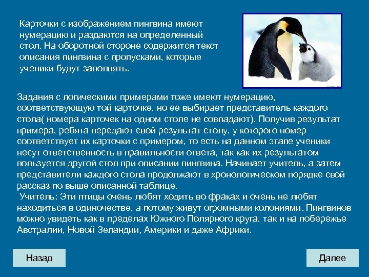 Карточки с изображением пингвина имеют нумерацию и раздаются на определенный стол. На оборотной стороне