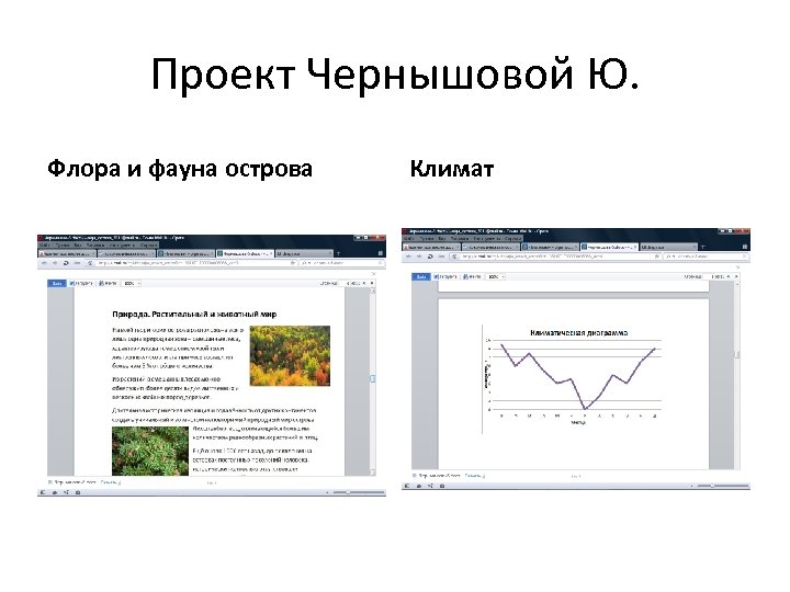 Проект Чернышовой Ю. Флора и фауна острова Климат 