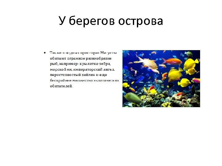 У берегов острова 