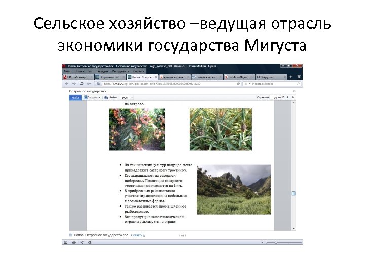 Сельское хозяйство –ведущая отрасль экономики государства Мигуста 