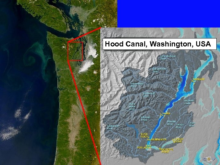Hood Canal, Washington, USA 