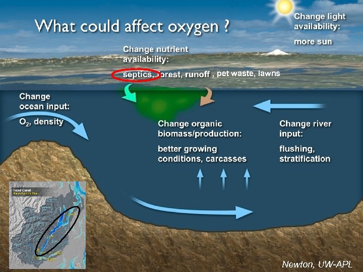 , pet waste, lawns Newton, UW-APL 