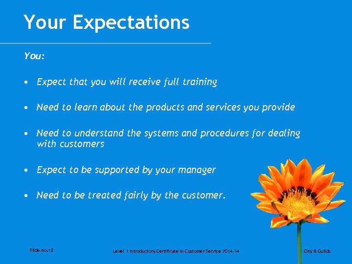 Your Expectations You: • Expect that you will receive full training • Need to