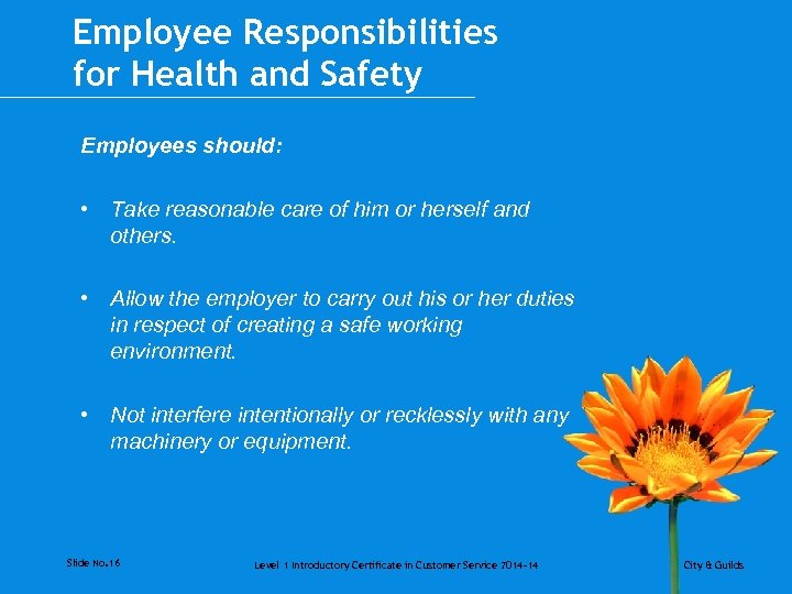 Employee Responsibilities for Health and Safety Employees should: • Take reasonable care of him