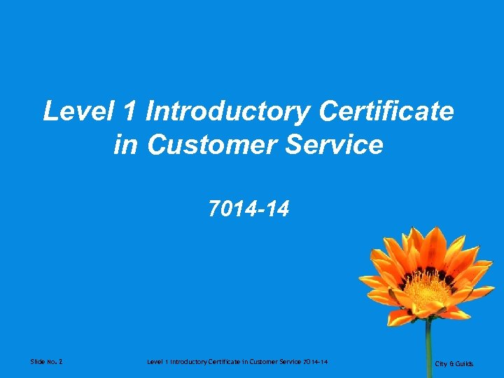 Level 1 Introductory Certificate in Customer Service 7014 -14 Slide No. 2 Level 1