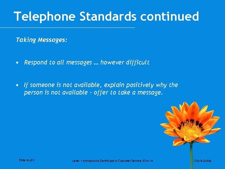 Telephone Standards continued Taking Messages: • Respond to all messages … however difficult •