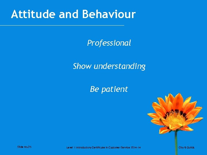 Attitude and Behaviour Professional Show understanding Be patient Slide No. 35 Level 1 Introductory