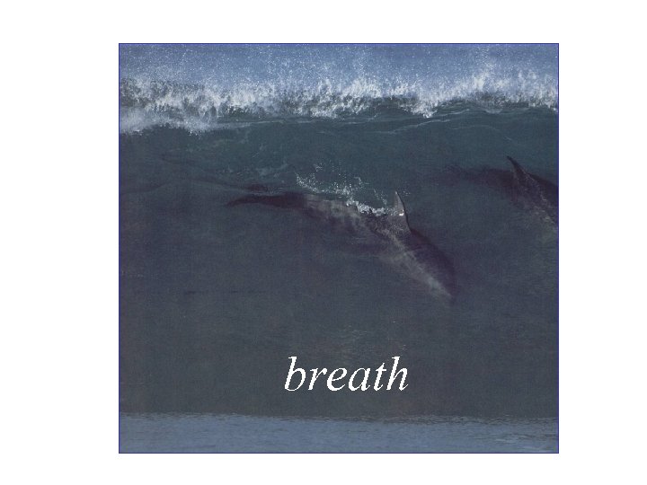 breath 