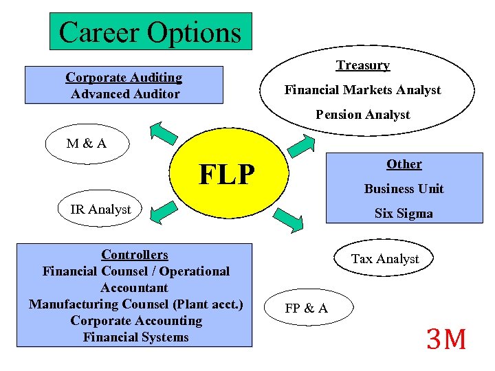 Career Options Treasury Corporate Auditing Advanced Auditor Financial Markets Analyst Pension Analyst M &