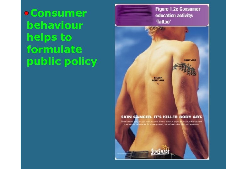 Consumer behaviour helps to formulate public policy 