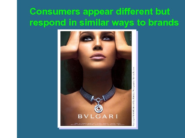 Consumers appear different but respond in similar ways to brands 