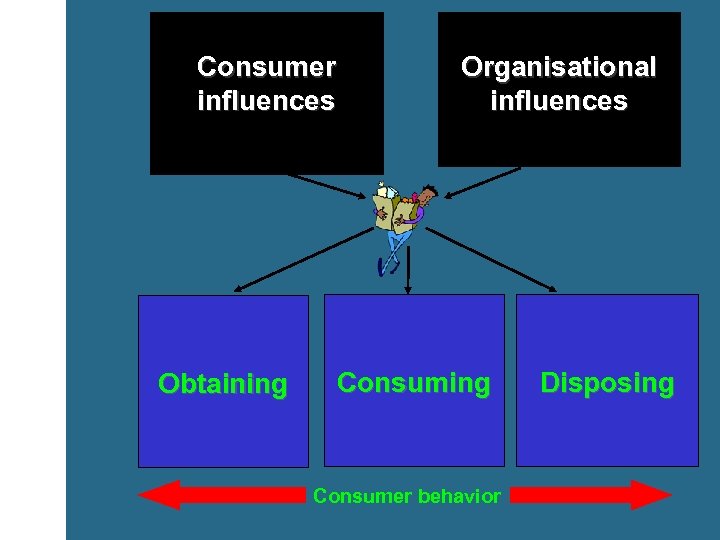 Consumer influences Obtaining Organisational influences Consuming Consumer behavior Disposing 