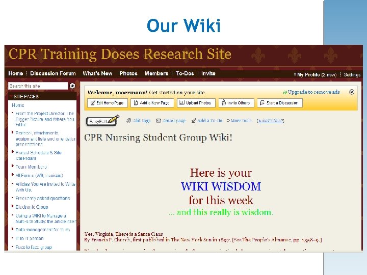 Our Wiki 