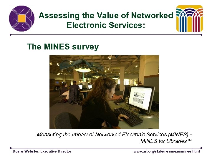 Assessing the Value of Networked Electronic Services: The MINES survey Measuring the Impact of