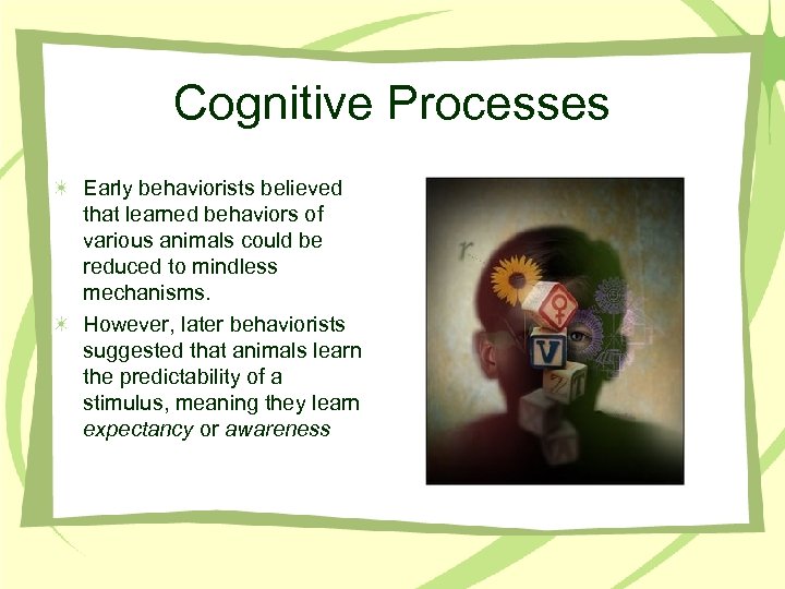 Cognitive Processes Early behaviorists believed that learned behaviors of various animals could be reduced