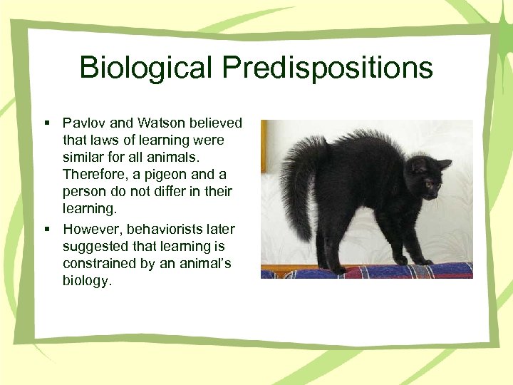 Biological Predispositions § Pavlov and Watson believed that laws of learning were similar for