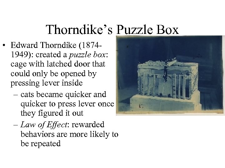 Thorndike’s Puzzle Box • Edward Thorndike (18741949): created a puzzle box: cage with latched